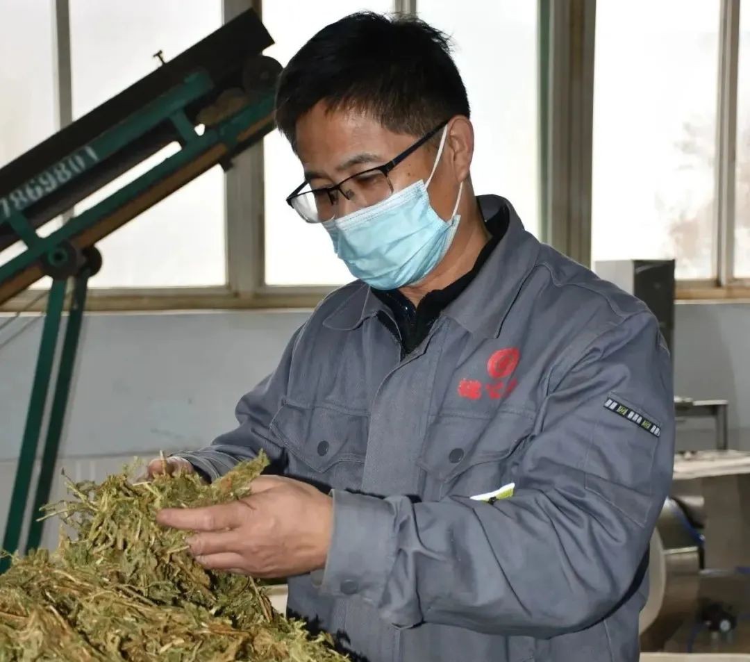 【向下扎根，向上生長(zhǎng)】孫吉民：20年堅(jiān)持做一件事